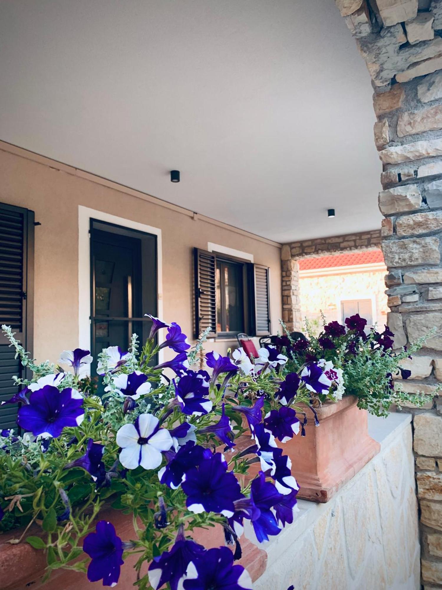Ferienwohnungen VI La Mare With Heated Pool Zadar Ngoại thất bức ảnh